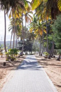 Beach road in las terrenas Stock Photos