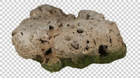 Beach rock with algae Stock Photos