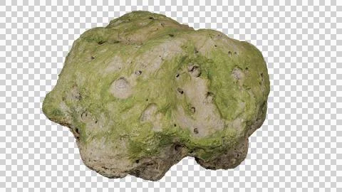 Beach rock with algae Stock Photos