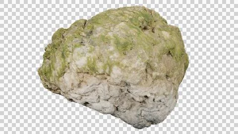 Beach rock with algae Stock Photos