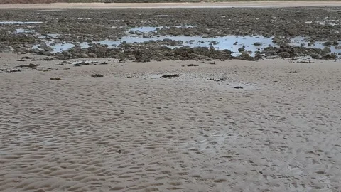 Beach with rock pools at low tide Stockbeeldmateriaal 202068330