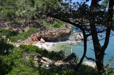 Beach. Rock with a trees Stock Photos