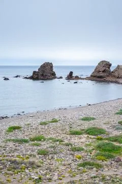 Beach with rocks in the background 스톡 사진