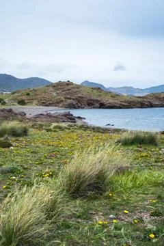 Beach with rocks in the background 스톡 사진