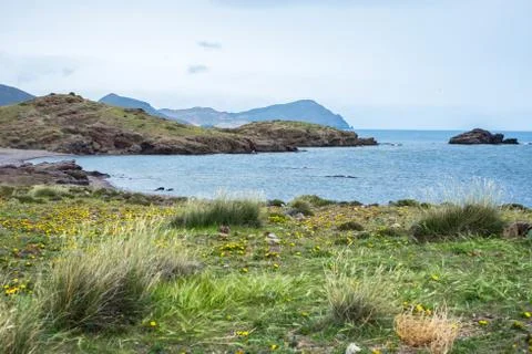 Beach with rocks in the background 스톡 사진