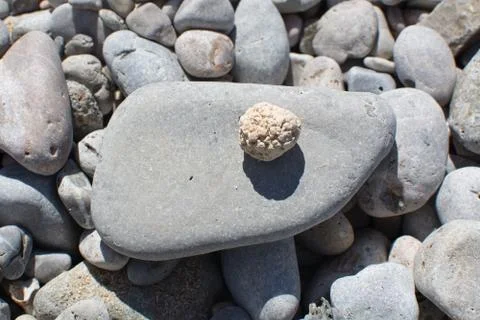 Beach rocks closeup Stock Photos