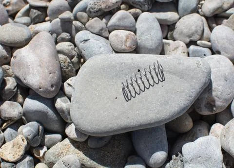 Beach rocks closeup Foto stock