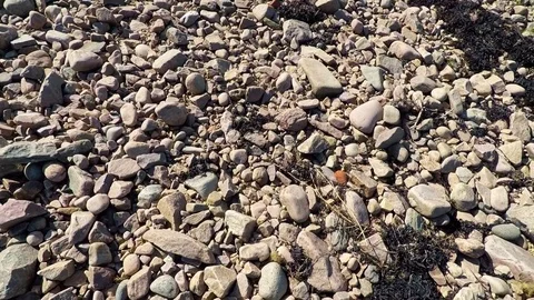 Beach rocks Stock Footage 75522758