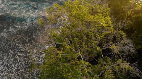 Beach rocks overhead Stock Footage 130089345