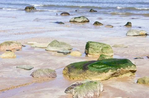Beach rocks Stock Photos
