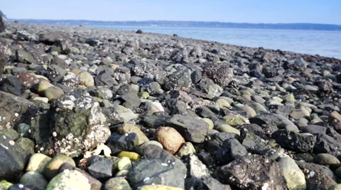 Beach rocks on shore. Stock Footage 33421186