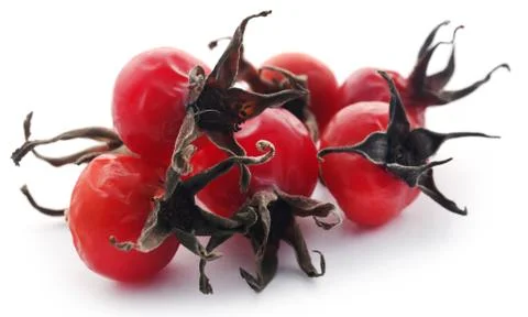 Beach rose Stock Photos