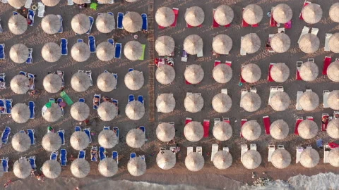 Beach with rows of thatch umbrellas - tiki straw parasols by the sea Stock Footage 213019245