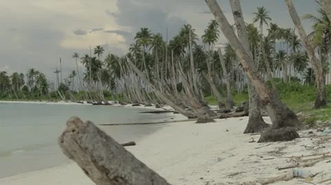 Beach rubbish Video stock 12426098