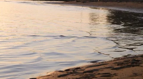 Beach Running in slow motion Stock-Footage 8691703
