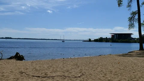 Beach with sand and bird Stock Footage 116105951