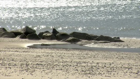 Beach with sand and rocks on a calm and sunny day Stock Footage 86365564
