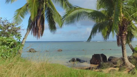 Beach with sand and rocks Stock Footage 137588489