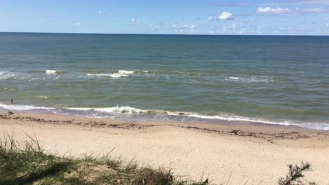 Beach with sand and waves crushing stone with seaweed Stock Footage 198531218