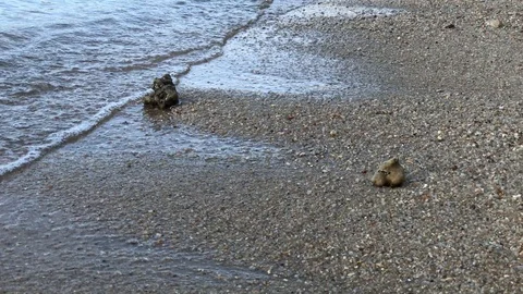 Beach sand and waves with the sound of birds 스톡 동영상 116018853