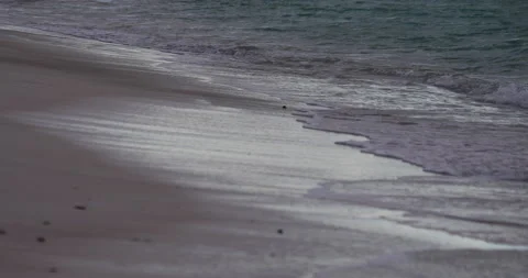 Beach Sand And Waves Under Clouds Vídeo Stock 145552393