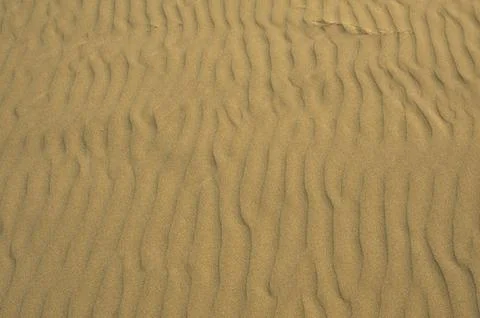 Beach sand background - sandy texture. ocean beach background. Foto stock