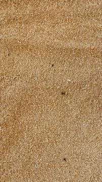 Beach sand to be used as texture, background, backdrop or wallpaper. Stock Photos