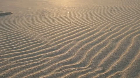 Beach Sand - Close to Far - Sunset dunes distance Vídeos de archivo 244686694