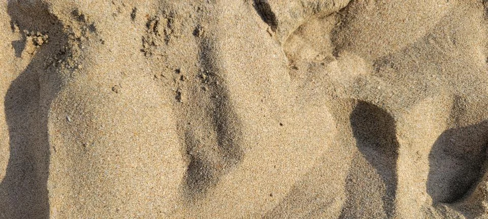 Beach Sand Close Up Stock Photos