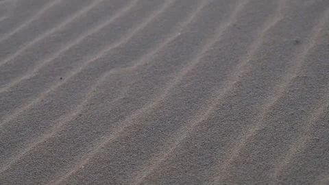 Beach Sand - Closeup pan over sand grooves Stock Footage 244686909