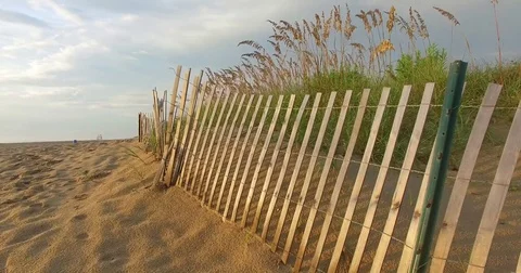 Beach Sand Dunes Stock Footage 79212310