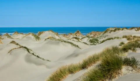 Beach sand dunes Stock Photos