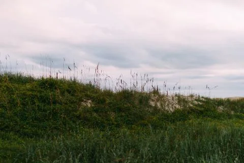 Beach Sand Dunes Stock-Fotos