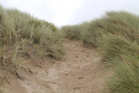 Beach Sand Dunes. Photos