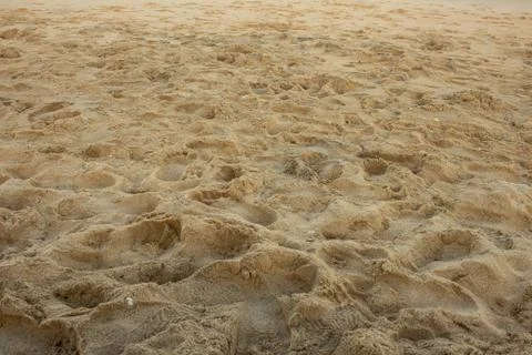 Beach sand with foot prints of the visitors in Pulicat Beach, Tamil Nadu Stock Photos