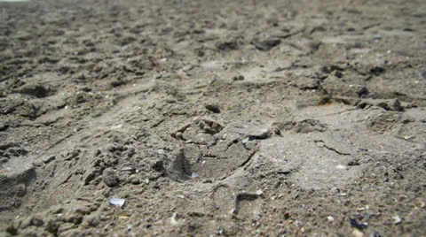 Beach Sand Stockbeeldmateriaal 26821381