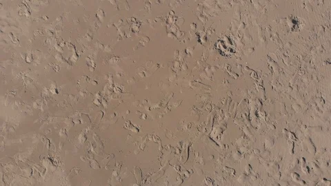 Beach Sand Stock Footage