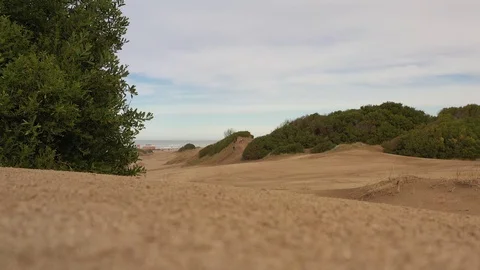 Beach &amp; Sand Stock Footage 116819431