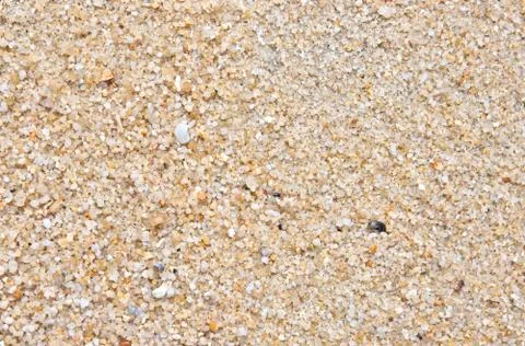 Beach sand grain Stock Photos