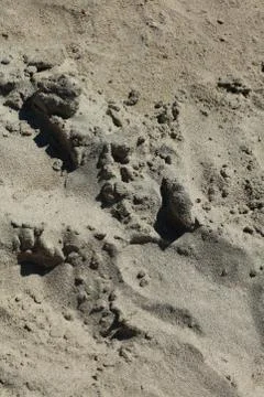 Beach sand ground macro background covid-19 june season creta island greece m Stock Photos