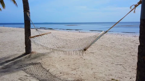 Beach, sand, hammock between two palm trees Stock Footage 125874811