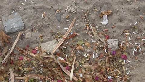 Beach sand littered with cigarette ends and other garbage Stock Footage 143857964