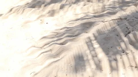 Beach sand with the palm leaves shadow. The shadow of palm leaves background  Stock Footage 312815384