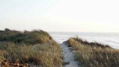 Beach sand path on a dune with the Atlantic ocean as background. Stock Footage 116437646