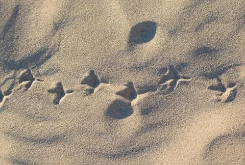 Beach sand pattern closeup Stock Photos