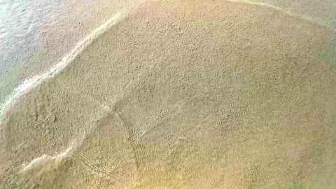 Beach sand with pebbles colorful shells mussels water texture pattern. Stock Footage 330215791