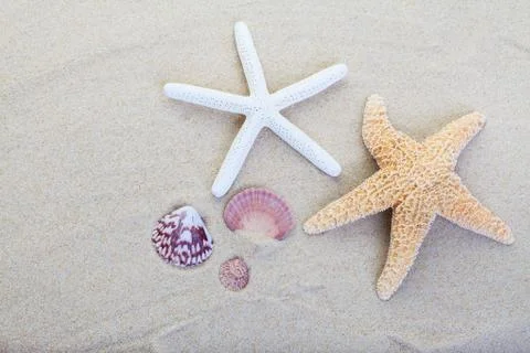 Beach sand Stock Photos