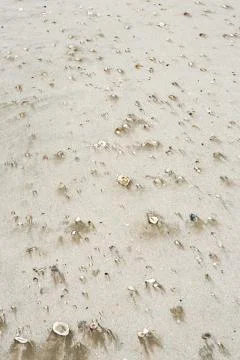 Beach sand Stock Photos