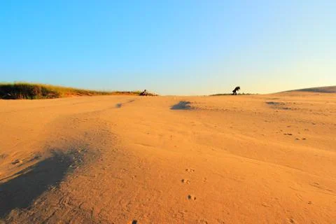 Beach sand Stock Photos