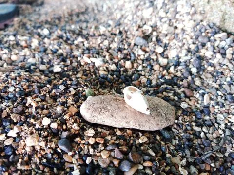 Beach Sand Stock Photos